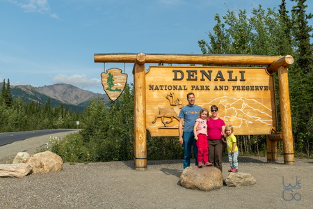 2019 07 31 United States of America Alaska Denali  D855250 